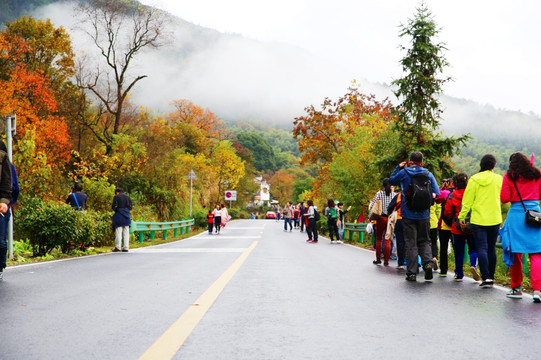 皖南塔川旅游