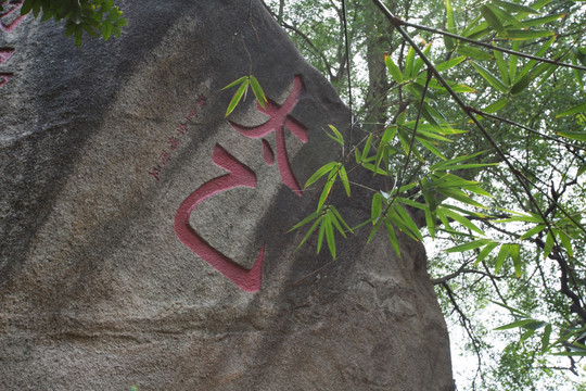 澳门 街道 街区 历史文化 建