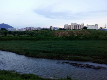 湿地公园风景