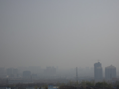 仙境