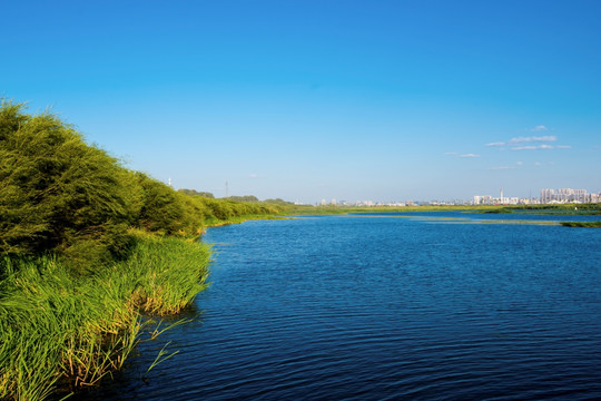 森林湖水