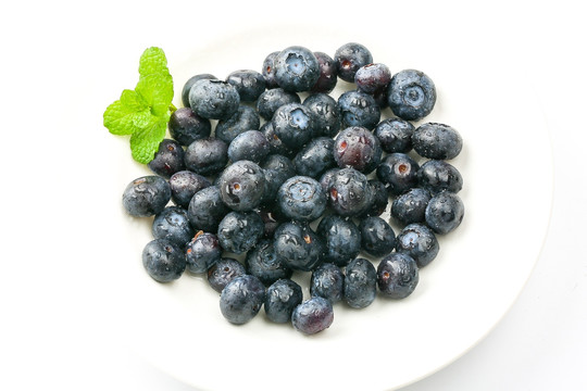 蓝莓 进口蓝莓
