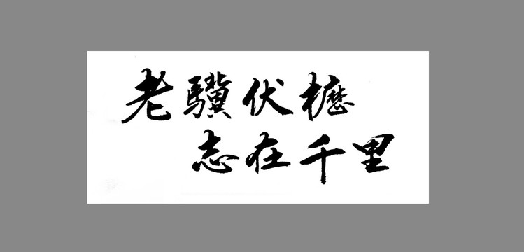 老骥伏枥志在千里