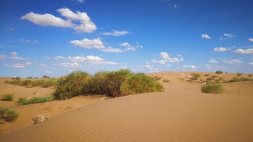 中国第七大沙漠库布其沙漠