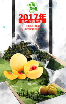 炎陵黄桃