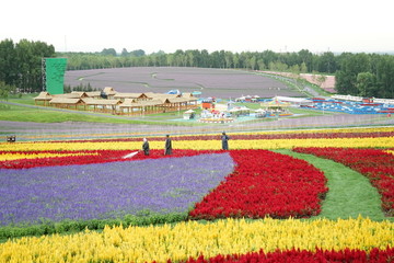 花海