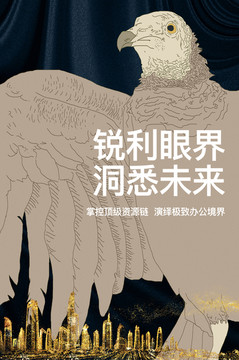 鹰 城市