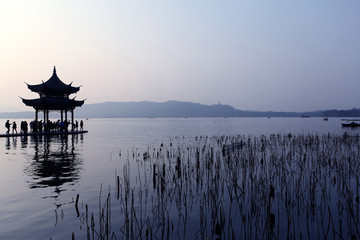 杭州 西湖 树 旅游景点 凉亭