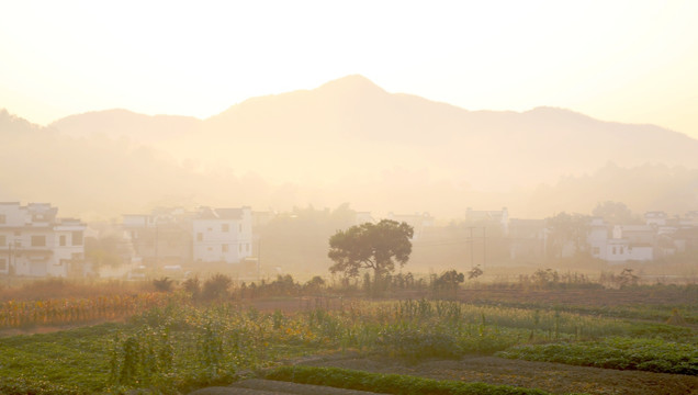 山村晨光风景