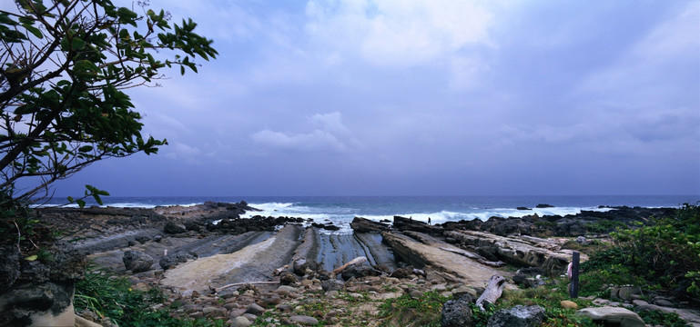 海岸