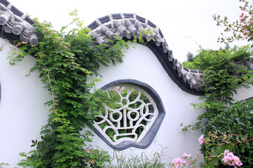 中式园林 爬墙紫藤