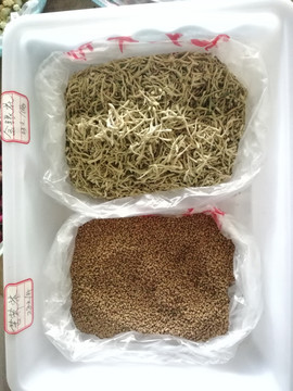 金银花苦荞茶