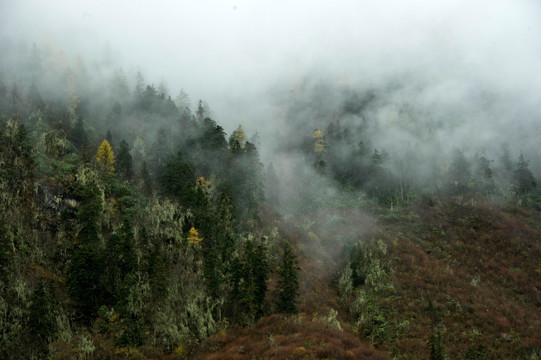 山涧迷雾