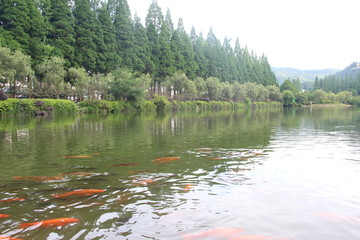 井冈山风景