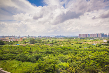 广东惠阳大文埔