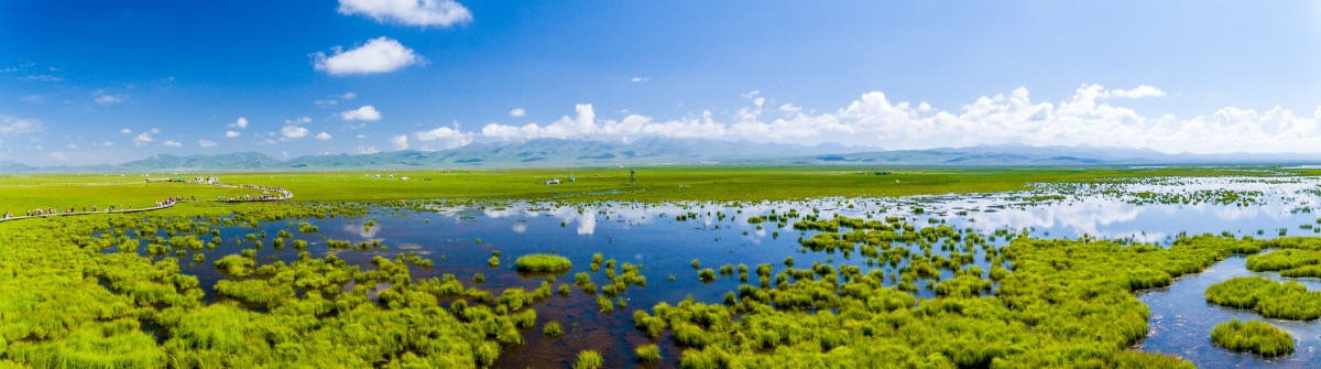 湿地公园