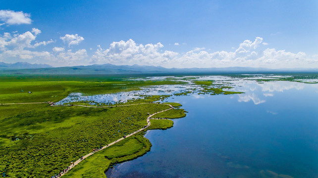 湿地公园