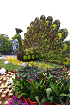 绿化 植物雕塑