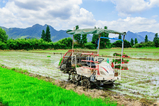 水稻秧苗插秧机 农作物机器