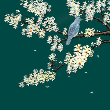 树枝 鸟 花