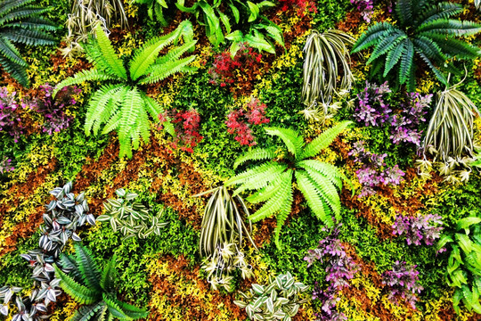 鲜花绿植背景