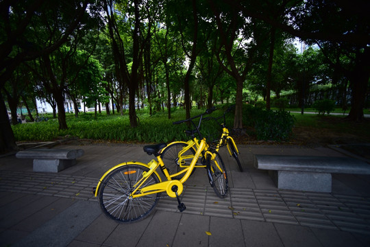 城市共享自行车
