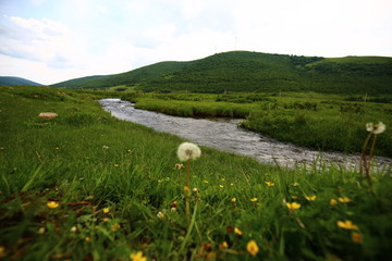 草原河流野花