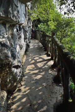 五峰 柴埠溪 树叶