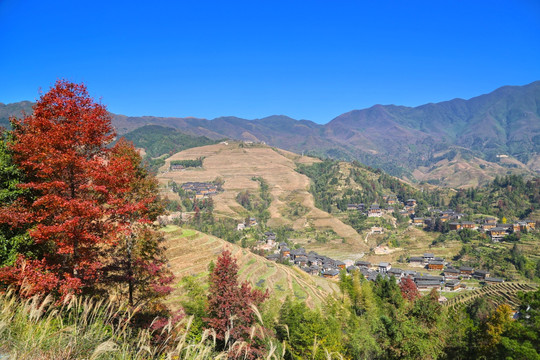 桂林龙胜龙脊梯田大瑶寨观景