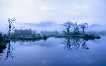 大九湖晨雾