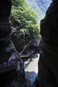 神龙架鹰潭