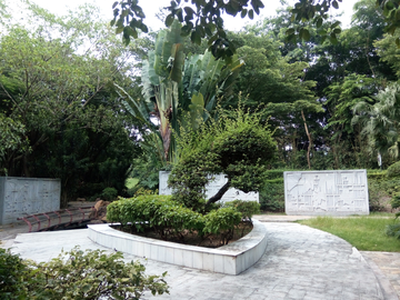 公园风景