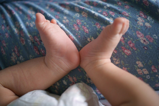 婴儿的小脚丫 婴儿的双脚