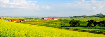 草原