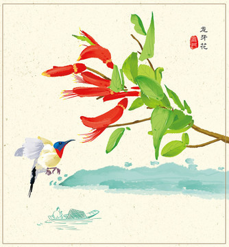 龙牙花