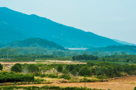 美丽山景