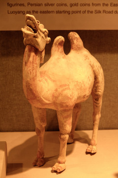 文物骆驼