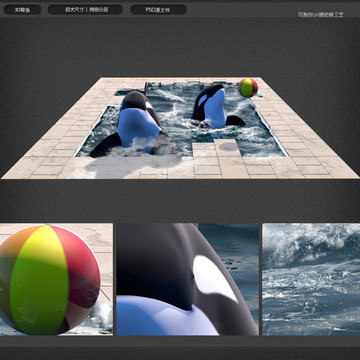 3D互动立体画鲸鱼