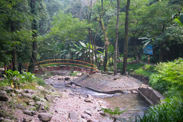 屏山牧场