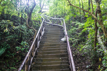 屏山牧场