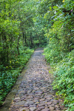 屏山牧场