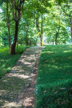屏山牧场