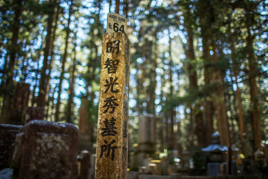 日本高野山明智光秀墓所