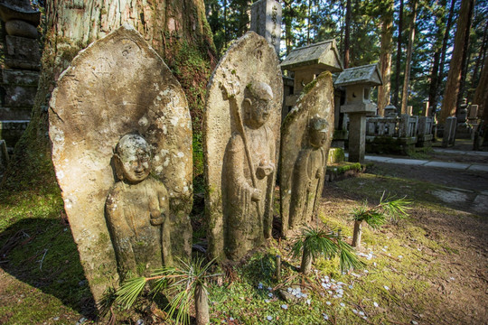 日本高野山奥之院参拜道石像佛像
