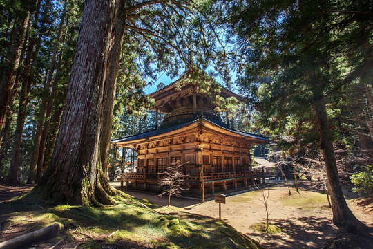 日本高野山坛上伽蓝西塔