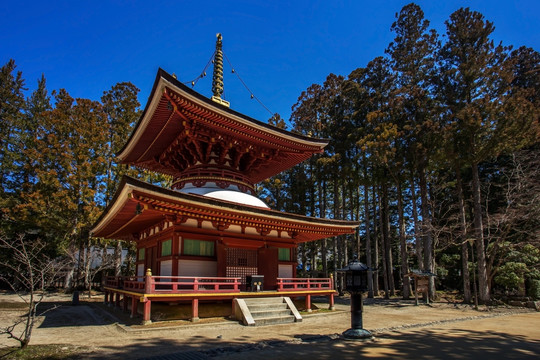 日本高野山坛上伽蓝东塔景色