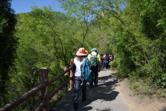 云台山登山客