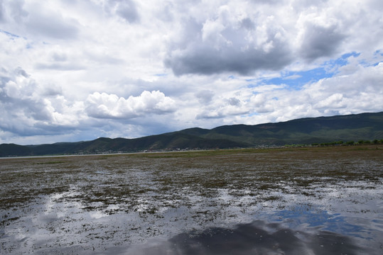 拉市海湿地公园