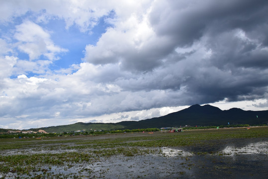 拉市海湿地公园