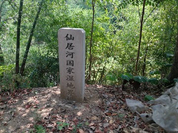 山水风光 乡村游